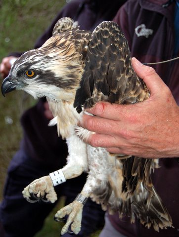 No11 getting a health check